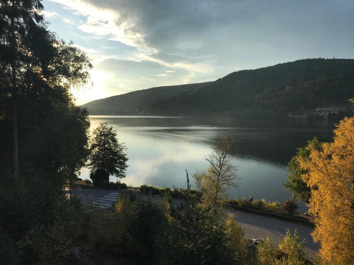 Apartament Le Duplex Gérardmer Zewnętrze zdjęcie